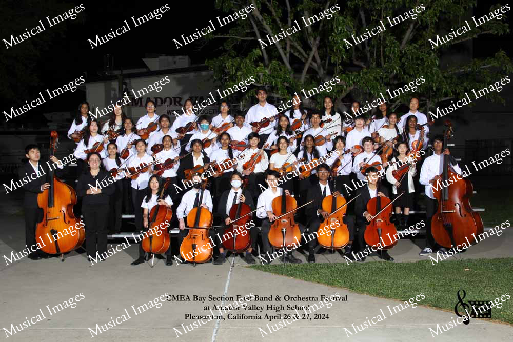 Musical Images